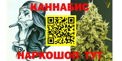 гидропоника Новозыбков