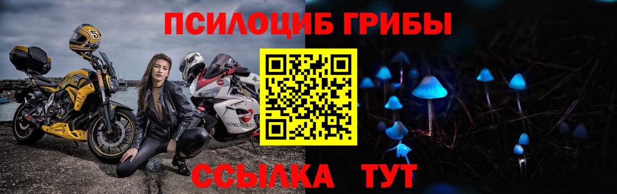 Советск  Галлюциногенные грибы мухоморы  Вход с VPN 